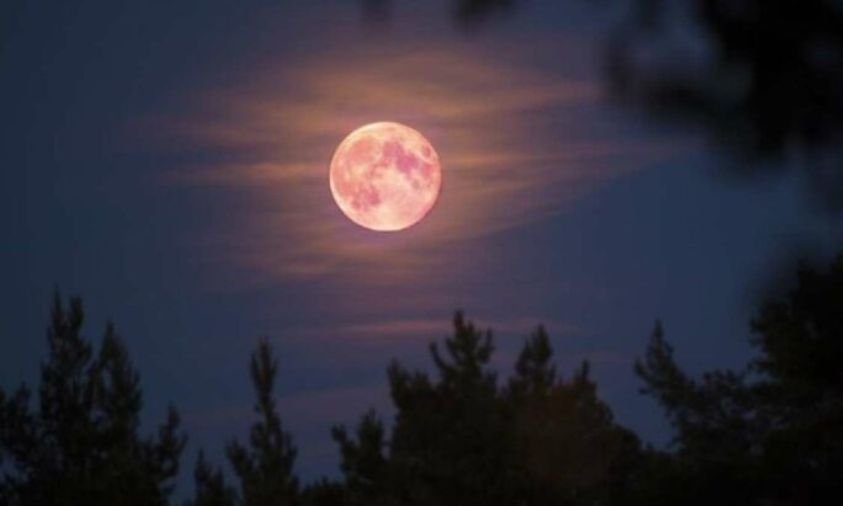 Pink Moon 2026: Cantik di Langit, Tapi Jangan Salah Kira