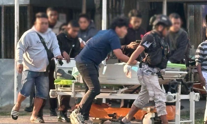 Tiga Pegawai Dinas Pertanian Jayawijaya Tewas Ditembak KKB Saat Bertugas