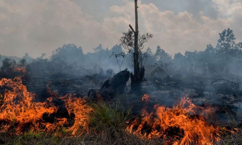 Kebakaran Gunung Lawu Meluas, Empat Titik Api Sulit Dijangkau Petugas