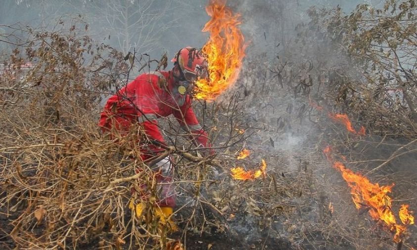Pemerintah Indonesia Masih Belum Menetapkan Karhutla Sumatra dan Kalimantan sebagai Bencana Nasional