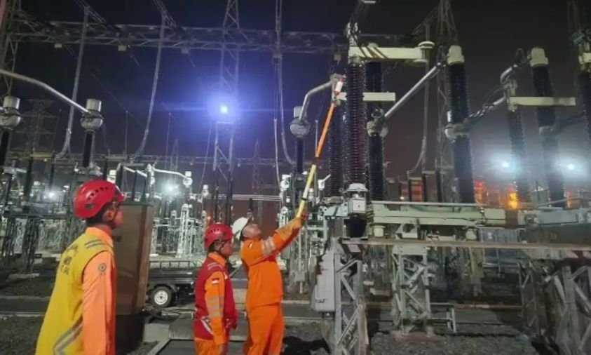 Bahlil Sebut Kelelawar Diduga sebagai Pemicu Pemadaman Listrik di Batam