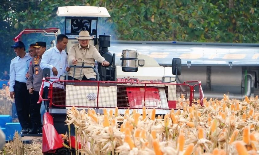 Surplus Komoditas Pangan Era Prabowo Capai 4,69 Juta Ton, Distribusi Jadi Tantangan